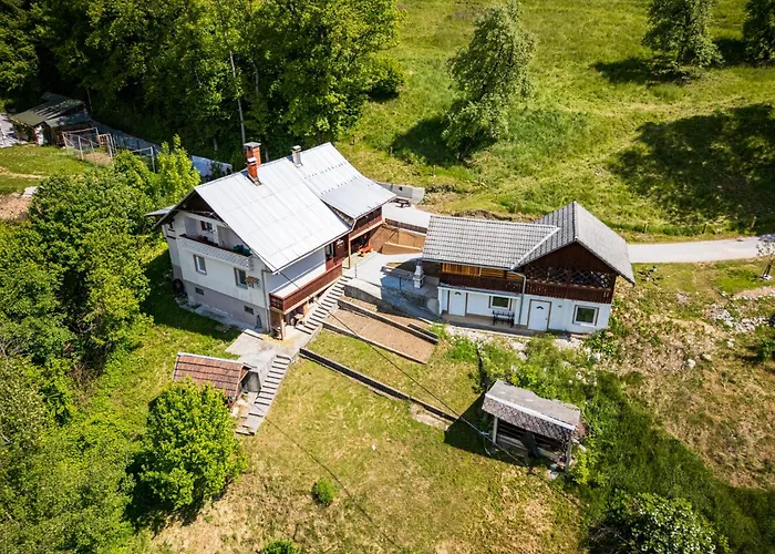 By The Forest Appartement